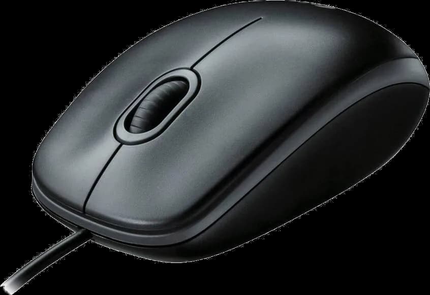 Logitech B100